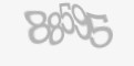 Защитный код