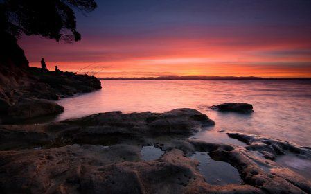 1256687236 fishing-at-dusksunset-at-coyle-park-pt-chevalier