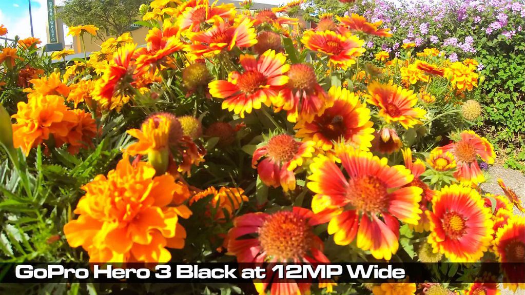 GoPro Hero36