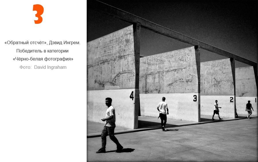 David Ingraham