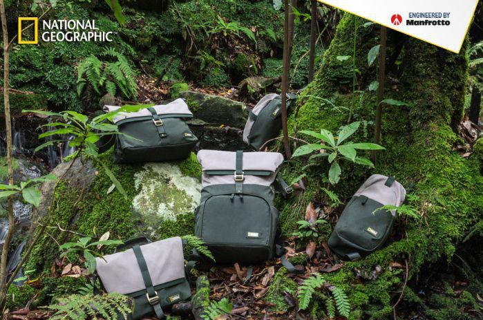 National Geographic Rainforest 