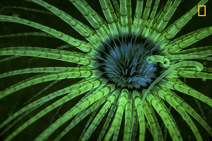 National Geographic best picture 11