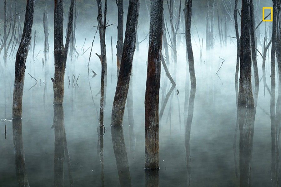 National Geographic best picture 9