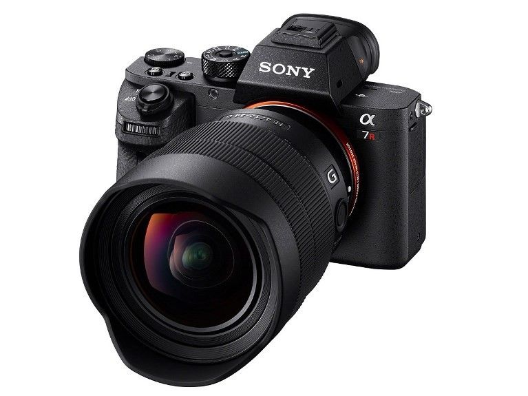 sony 12 24