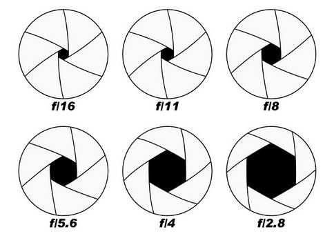 digits