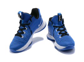 Кросівки Nike Lebron Witness 5, 42,5 EU 6