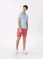 Шорты Hose Brand VJ455-32X L терракотовые 3