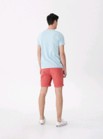 Шорты Hose Brand VJ455-32X L терракотовые 4