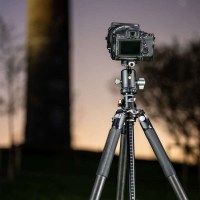 Штатив Vanguard VEO 3+ 303CBS (VEO 3+ 303CBS) 12