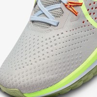 КРОСІВКИ NIKE REACT PEGASUS TRAIL 4 (DJ6158-002) 42,5 EU 11