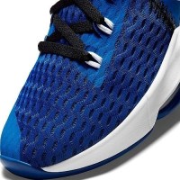 Кросівки Nike Lebron Witness 5, 42,5 EU 7