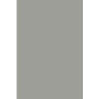 Фон паперовий BD 2,72 х 11,0м Сірий (Stone Gray) 170