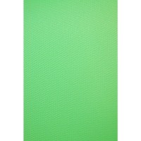 Фон Savage Infinity Vinyl Chroma Green 2.43m x 3.04m