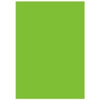 Фон Savage Infinity Vinyl Chroma Green 2.74x6.09м