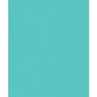 Фон Savage Widetone Baby Blue 1.36m x 11m