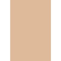 Фон Savage Widetone Beige рулон 2.18 x 11 м