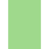 Фон Savage Widetone Mint Green 1.36x11м