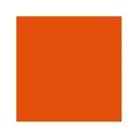 Фон бумажный BD 2,72х11,0м Fire Orange 282 3