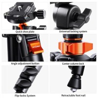Штатив K&F Concept K234A7+BH-28L (KF09.087V6) 3