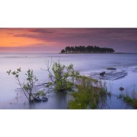 Объектив Tamron SP AF 17-50mm F/2,8 XR Di II LD Asp. (IF) для Nikon 4