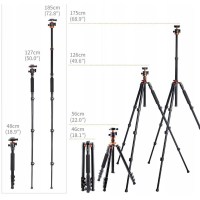 Штатив K&F Concept K254A3+BH-28L (KF09.089V1) 1