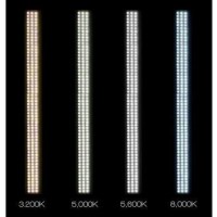 Постоянный свет Falcon  LED 17W Меч 3