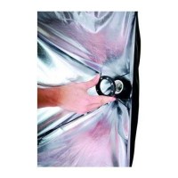 Софтбокс с патроном Visico EB-070 40х60см 1