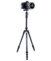 Штатив Vanguard Vesta TB 204CB 4